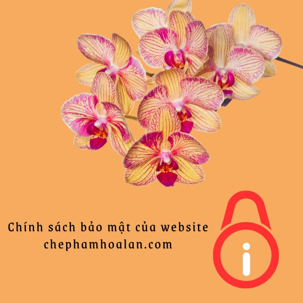 Chính sách bảo mật của chephamhoalan.com – Đảm bảo an toàn thông tin.